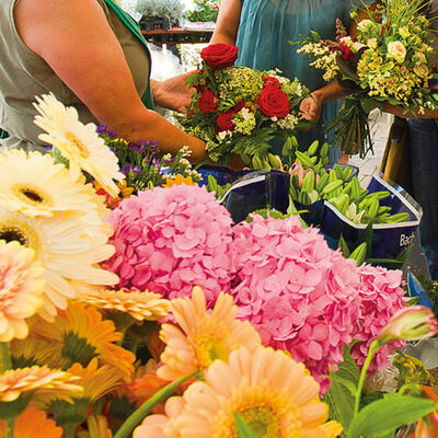 Flowers at the weekly market